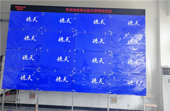 安徽蕪湖某技術(shù)學院項目